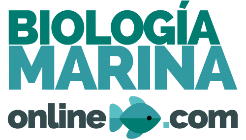 logo del biologo marino