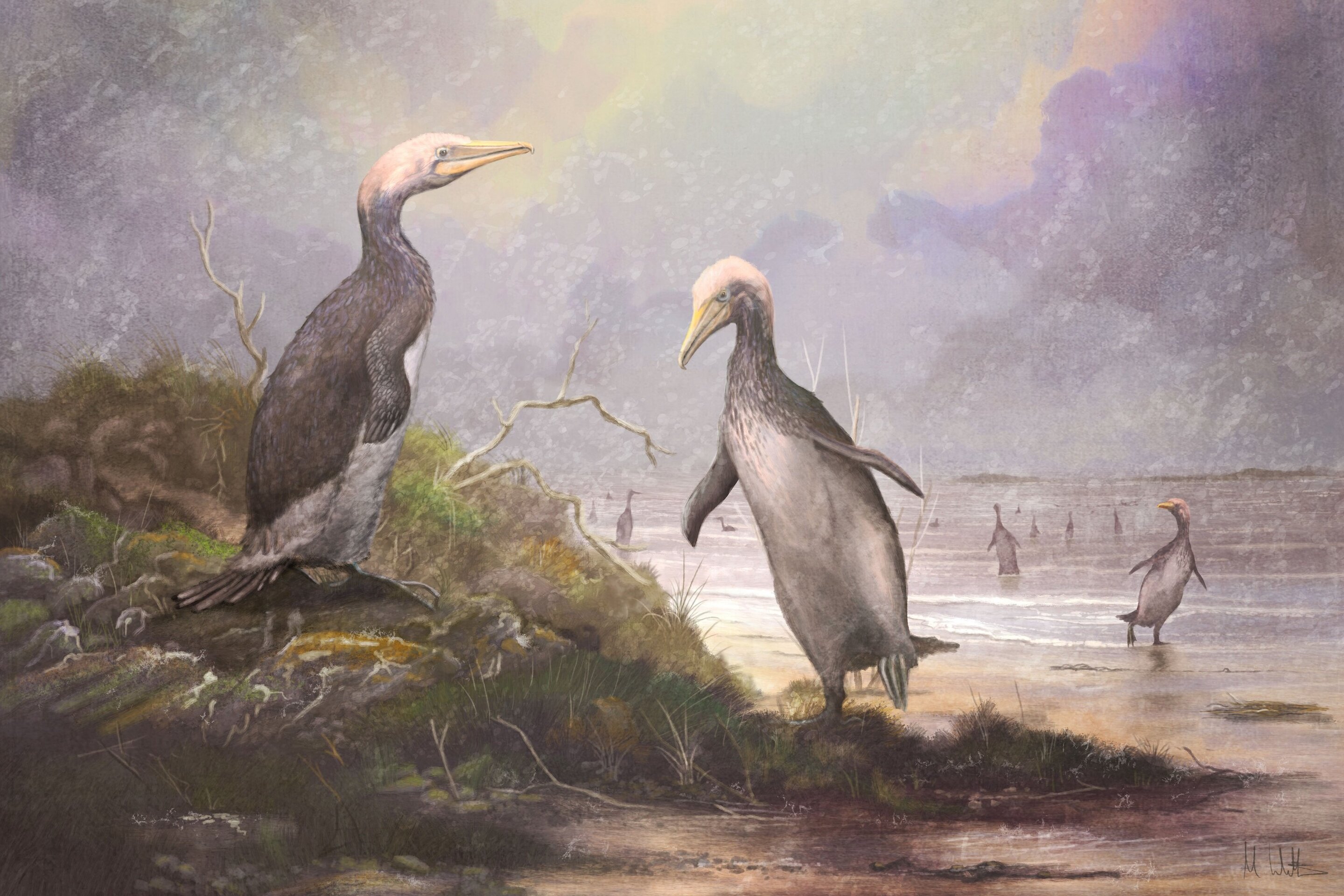 Descubren antiguos «pingüinos gigantes» en el hemisferio norte